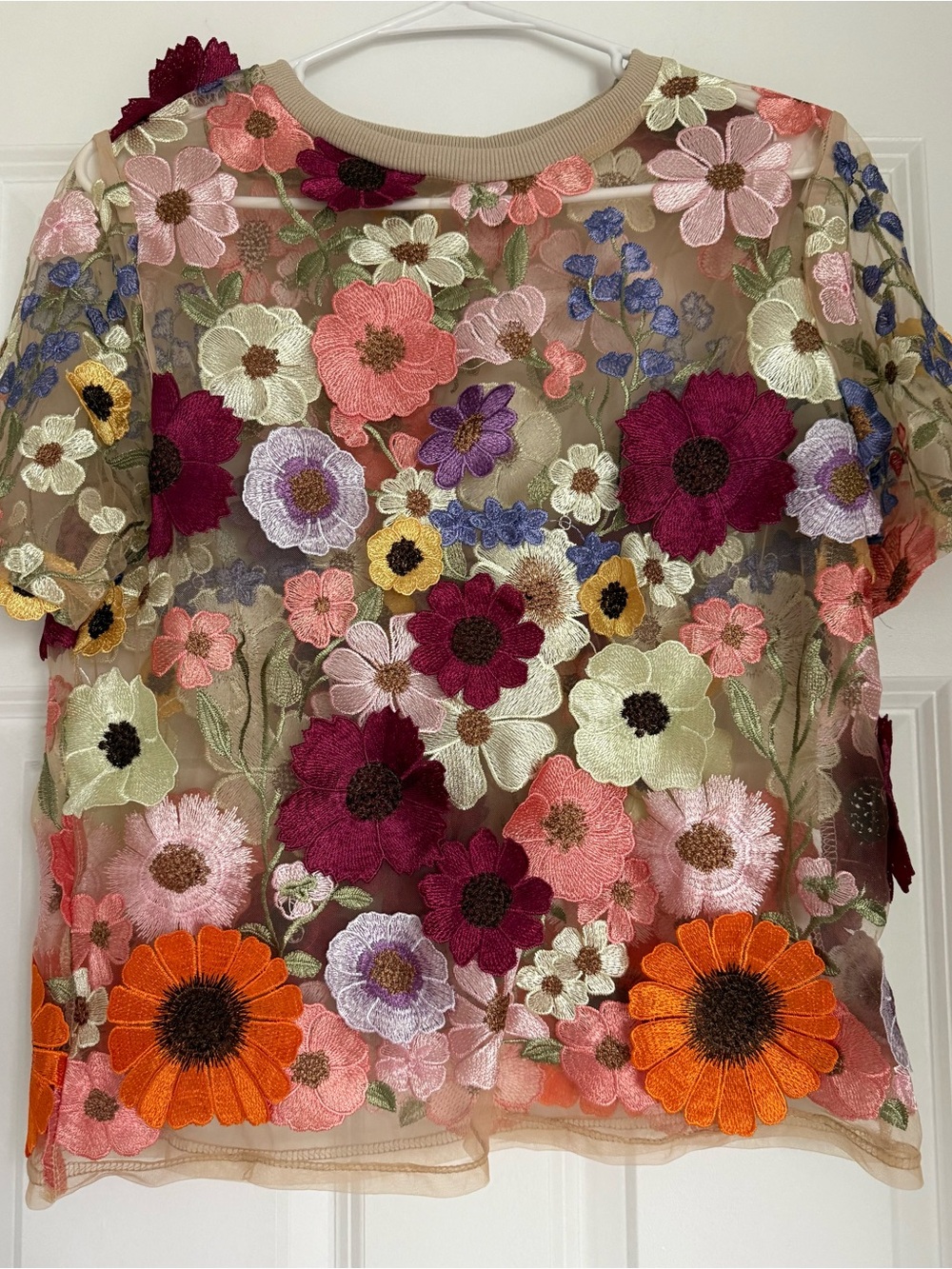 3D Floral Embroidered Sheer Top - Multicolor